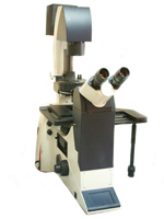 Инвертированный полуавтоматизированный флуоресцентный микроскоп  DMI3000B